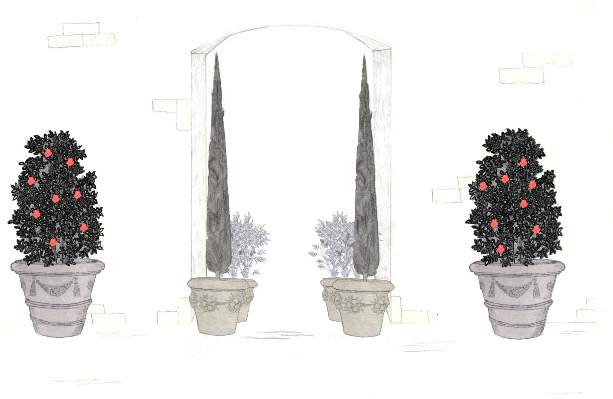 Sketch of a courtyard archway lined with cypress and camelia trees in Impruneta pots
